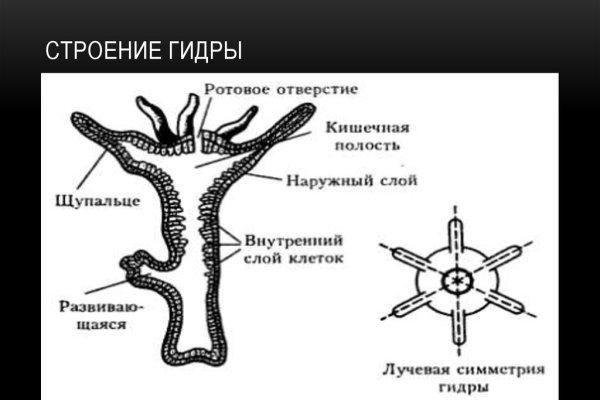 Darknet website