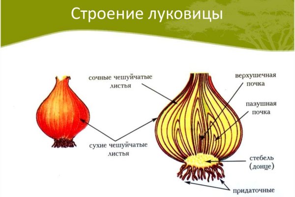 Кракен сайт kr2web in