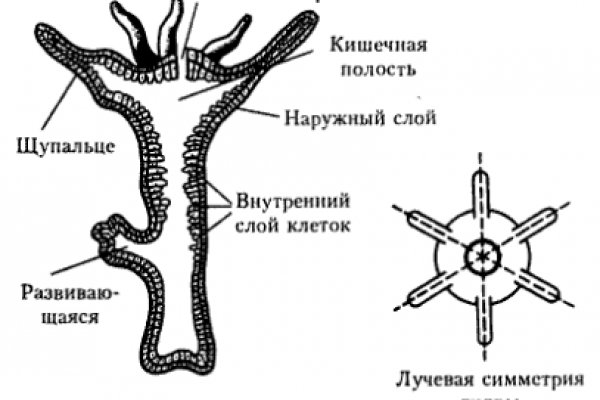 Кракен тор kraken dark