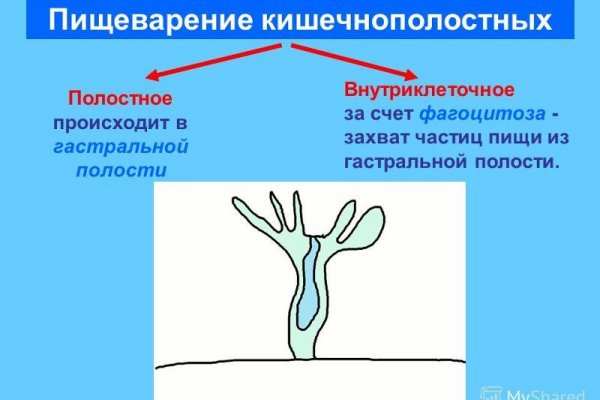 Кракен маркет даркнет только через тор скачать