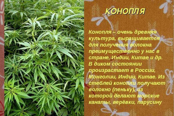 Kraken сайт магазин